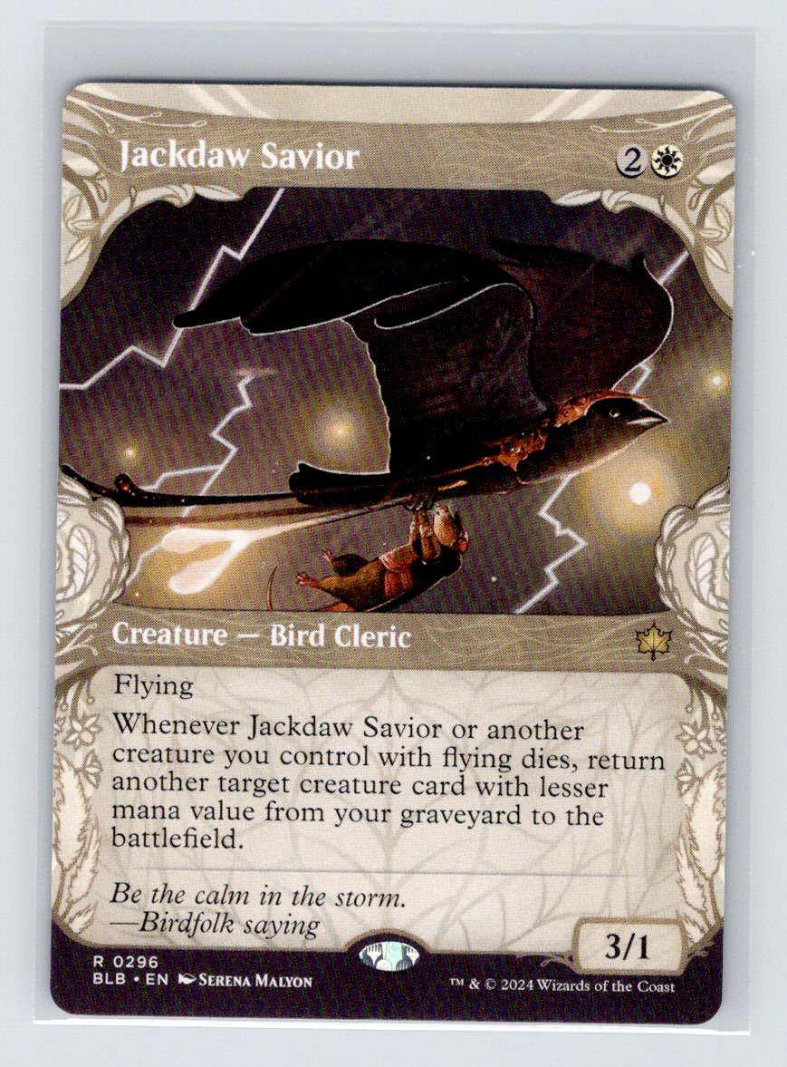 Jackdaw Saviour 